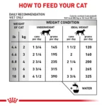 Royal Canin® Veterinary Diet Feline Renal Support T Adult Cat Wet Food in Gravy  3 oz can - Image 8