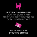 Purina® Pro Plan® Veterinary Diets UR Urinary St/Ox Cat Food - Image 4
