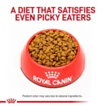 Royal Canin® Veterinary Diet Feline Selected Protein PR Adult Dry Cat Food - Image 2