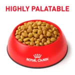 Royal Canin® Veterinary Diet Feline Urinary SO Adult Dry Cat Food  Moderate Calorie - Image 3