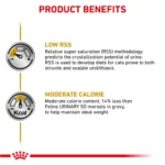Royal Canin® Veterinary Diet Urinary SO Moderate Calorie Adult Cat Wet Food in Gravy  3 oz can - Image 3
