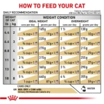 Royal Canin® Veterinary Diet Urinary SO Moderate Calorie Adult Cat Wet Food in Gravy  3 oz can - Image 5