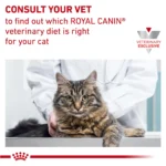 Royal Canin® Veterinary Diet Feline Glycobalance Adult Cat Thin Slices In Gravy Wet Food  3 oz can - Image 8