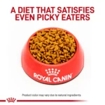 Royal Canin® Veterinary Diet Feline Gastrointestinal Fiber Response Adult Dry Cat Food - Image 2