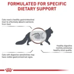 Royal Canin® Veterinary Diet Feline Gastrointestinal Fiber Response Adult Dry Cat Food - Image 4
