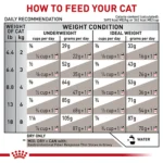 Royal Canin® Veterinary Diet Feline Gastrointestinal Fiber Response Adult Dry Cat Food - Image 9