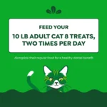 Greenies™ Feline Greenies Adult Cat Dental Treats - Dental Care, Natural, Salmon - Image 6
