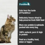Purebites® Freeze Dried Cat Treat - Minnow 1.09 OZ - Image 4