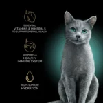 Sheba® Perfect Portions Adult Wet Cat Food - Cuts in Gravy, Variety Pack, 24 CT, 63.4 OZ - Image 3