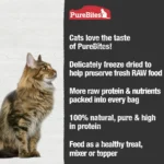 PureBites® Freeze Dried Cat Treat - Natural, Chicken - Image 5