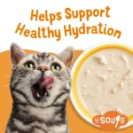 Purina® Friskies® Lil' Soups® Cat Food Complement - 1.2oz - Image 3