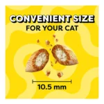 Temptations™ Classic Adult Cat Treats - Indoor Care, Soft & Crunchy, Chicken - Image 5