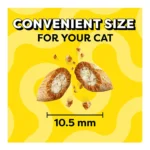 Temptations™ Birthday Adult Cat Treats - Lobster & Beef - Image 5