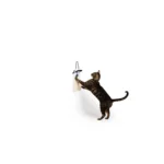 Thrills & Chills® Ghost Cat Door Hanger - Image 5