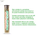 Meowijuana® Jump 'n' Jamb Get the Monkey Off Your Back Refillable Door Jamb Cat Toy - Catnip - Image 4