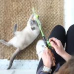 Mad Cat® Fishing Pole Frenzy Cat Toy - Image 5