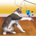KONG®, KONG Teaser Feather Assorted Cat Toy - Image 7