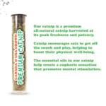 Meowijuana® Jump 'n' Jamb Flashy Dragonfly Refillable Catnip Swinging Teaser Cat Toy - Image 4