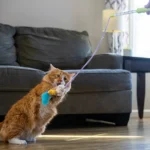 Catstages Twinkle Star Light Up Cat Wand - Image 6