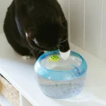 Catstages Meow-smerizing Fish Bowl with Electronic Fish for Bait, Cat Toy - Image 7