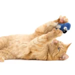 Instincts SmartyKat Chatty Chirp Cat Toy - Image 5