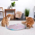 Instincts SmartyKat Hidden Hijinks Cat Toy - Image 7