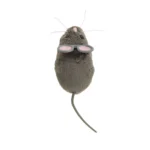 Whisker City® Robotic Gray Mouse Cat Toy - Image 2