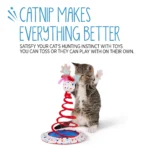 Whisker City® Spring Swatter Chirping Cat Toy - Catnip - Image 4