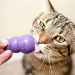 KONG® Kitty KONG Cat Toy - Treat Dispensing - Image 2