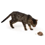 Whisker City® Natural Electronic Mouse Cat Toy - Image 3