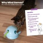 Catstages Electronic Dart N' Dash Toy - Image 6
