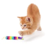 Multipet® Rainbow Caterpillar Catnip Cat Toy - Image 2