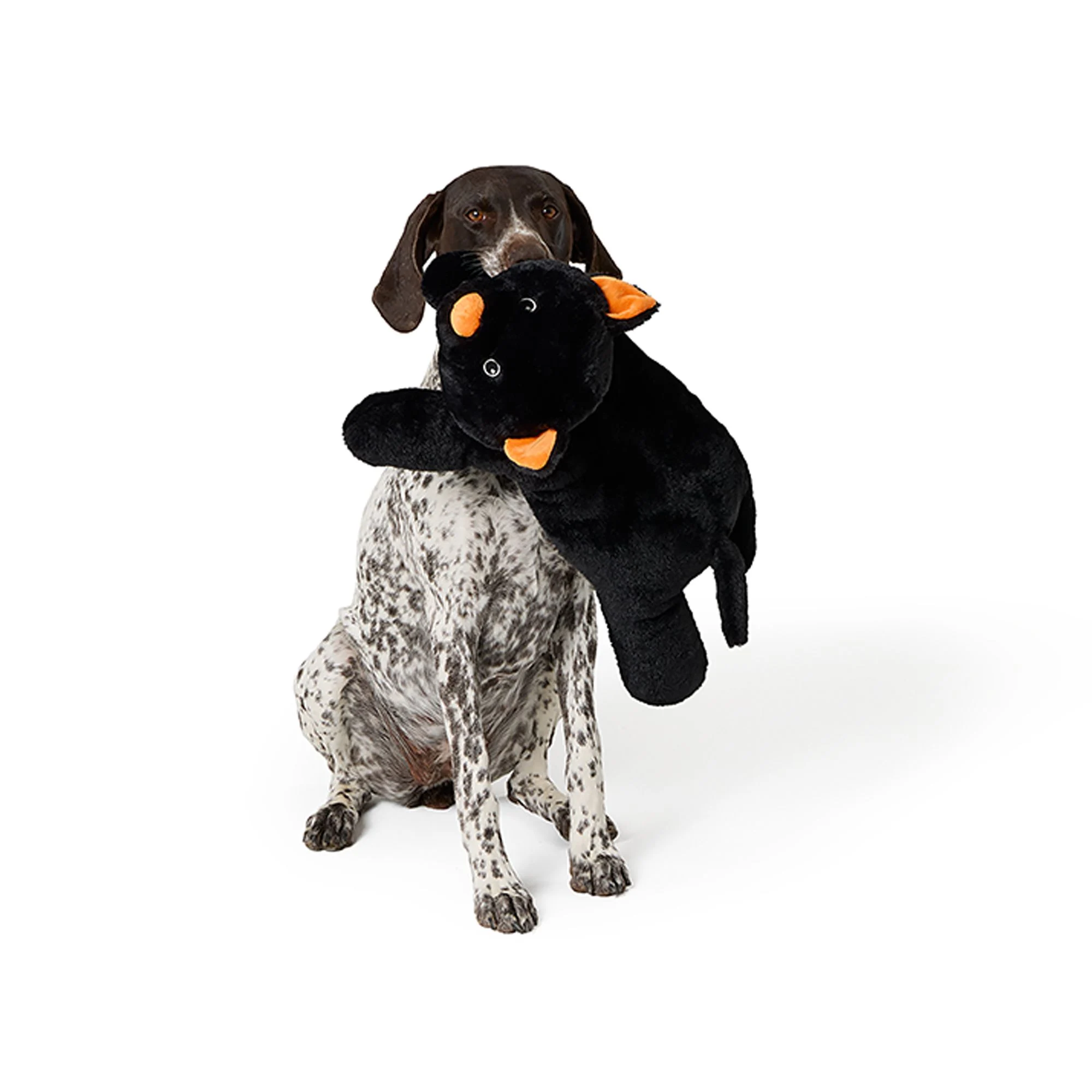 img_1761538064775_808_aiEo8pP8l.webp Thrills & Chills® XL Plush Dog Toy - Image 1