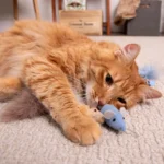 Instincts SmartyKat Catnip Caravan Cat Toy - 3 Pack - Image 5