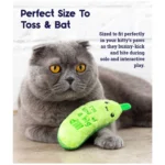 Catstages Crunchy Catnip Pickle Cat Toy - Image 4