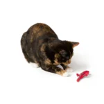 Whisker City® Lizard Cat Toy - Image 9