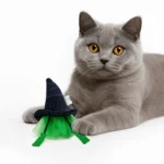 Wicked Hat Tulle Cat Toy 7" - Image 5