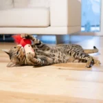 Catstages A Really Fungi Mushroom Kicker Catnip Stuffed Dental Cat Toy - Image 7