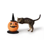 Thrills & Chills® Pumpkin Cat Scratcher Cat Toy