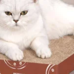 PetPals Cardboard Cat Scratcher 4 CT - Image 2