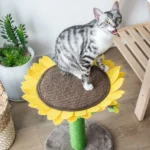 PetPals Cat Sunflower Bed Scratcher - Image 2