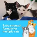 Fresh Step Multi-Cat Clumping Litter With Febreze Freshness, Bag, 42 LB - Image 5