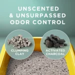 Purina® Tidy Cats® Free & Clean Natural Clumping Multi-Cat Clay Cat Litter - Unscented, Low Dust - Image 3