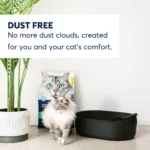 OdorLock Unscented Clumping Clay Cat Litter - Image 5