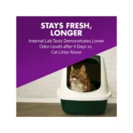 Arm & Hammer Double Duty Cat Litter Deodorizer - Image 4