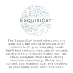 ExquisiCat Litter Premium Clumping Multi-Cat Clay Cat Litter - Unscented, Low Dust - Image 6