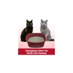 Arm & Hammer™ Clump & Seal Clumping Multi-Cat Clay Cat Litter - Low Dust - Image 6