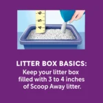 Scoop Away Complete Performance Clumping Cat Litter, Bag, 42 LB - Image 6