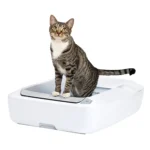 PetSafe ScoopFree Crystal Plus Self-Cleaning Litter Box System