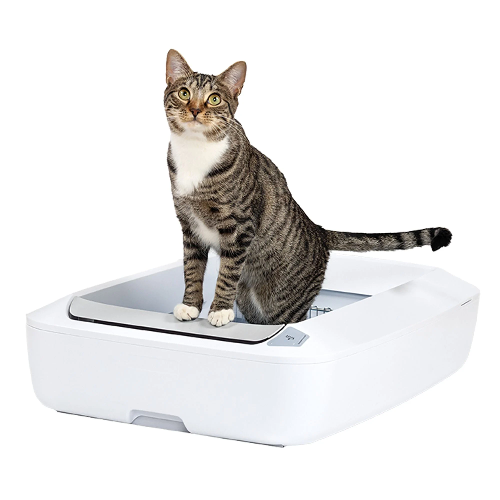 img_1761552833282_785_nKkvsnOzS.webp PetSafe ScoopFree Crystal Plus Self-Cleaning Litter Box System - Image 1